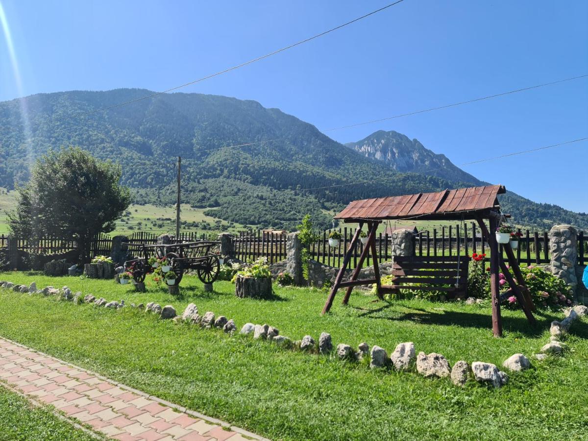 Maricom Home Zarnesti Exterior photo