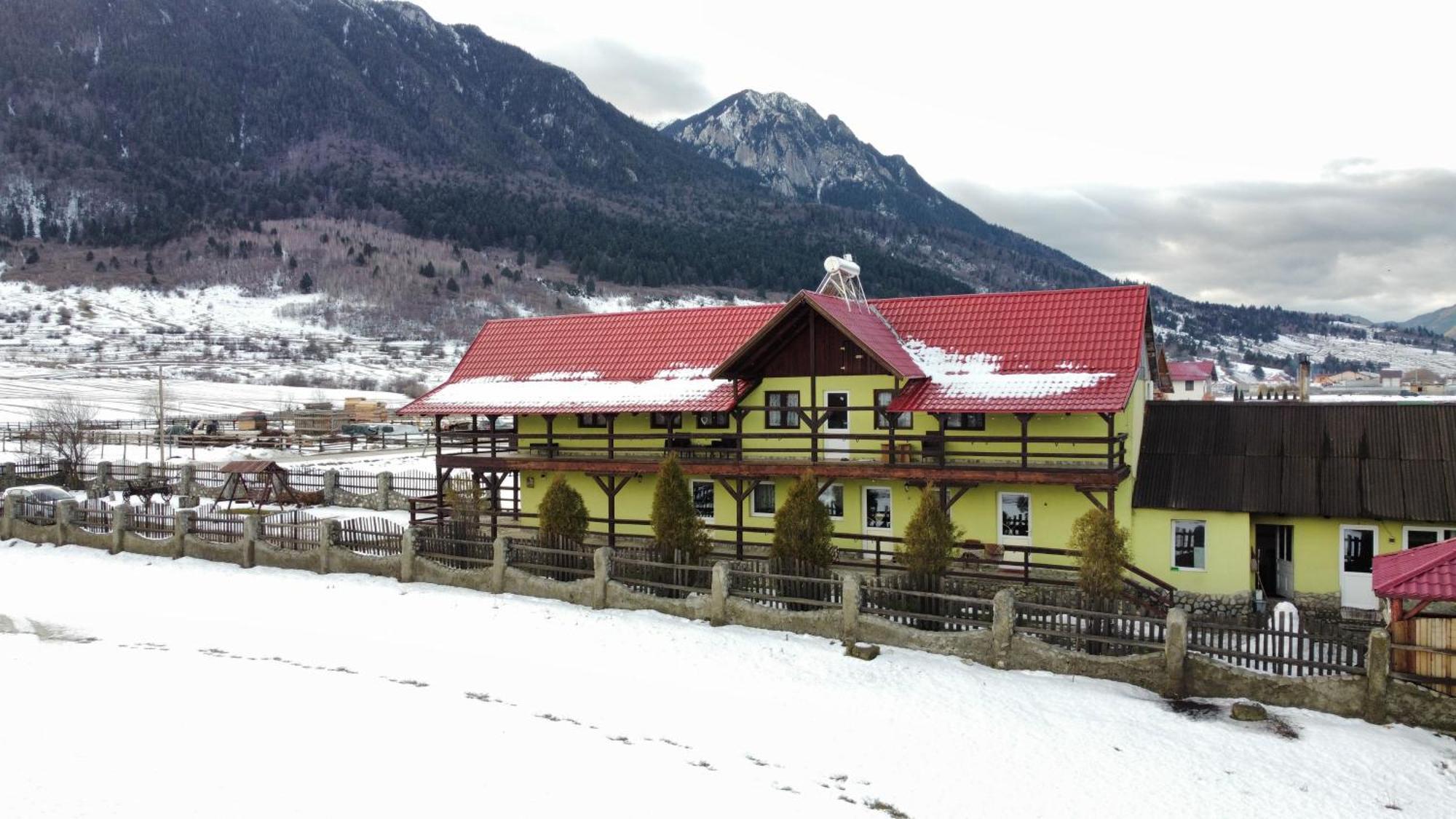 Maricom Home Zarnesti Exterior photo